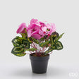edg enzo de gasperi edg enzo de gasperi pianta artificiale ciclamino con foglie e vaso h 32 cm rosa scuro pianta decorativa realistica design moderno ean 8059824518026