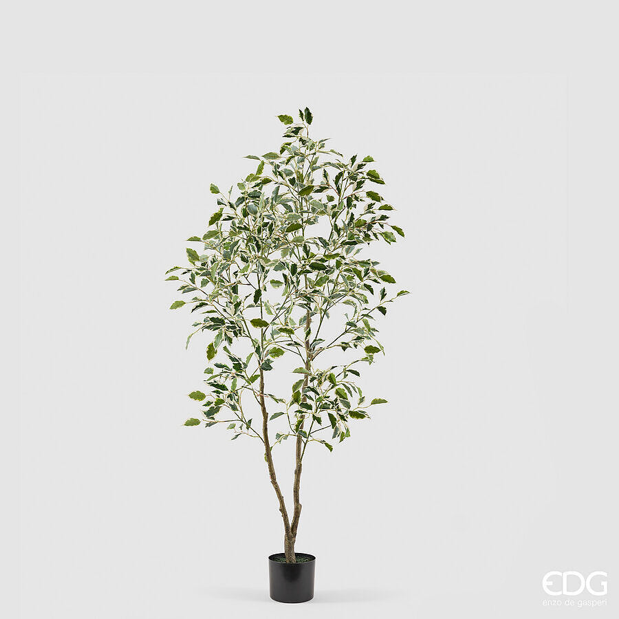 edg enzo de gasperi edg enzo de gasperi pianta artificiale ficus vogue con vaso h 150 cm pianta decorativa realistica design moderno ean 8059824655264