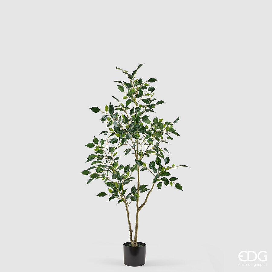 edg enzo de gasperi edg enzo de gasperi pianta artificiale ficus vogue con vaso h120 cm pianta decorativa realistica design moderno ean 8059824655196