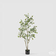 edg enzo de gasperi edg enzo de gasperi pianta artificiale ficus vogue con vaso h120 cm pianta decorativa realistica design moderno ean 8059824655226