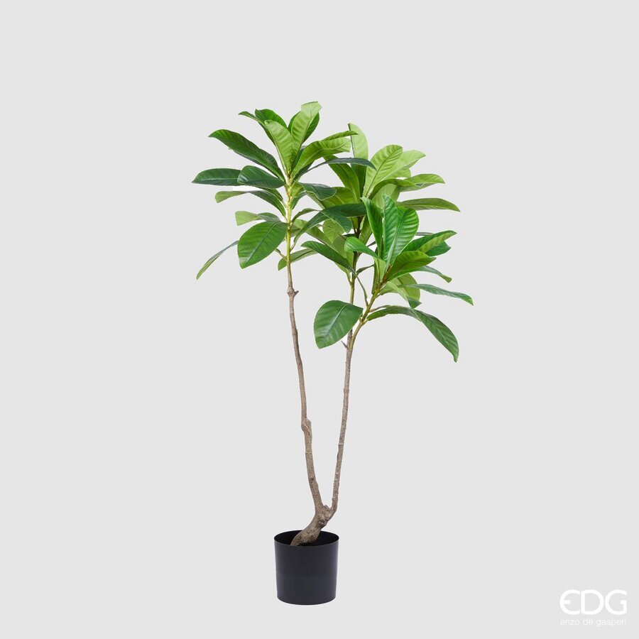 edg enzo de gasperi edg enzo de gasperi pianta artificiale nespolo giapponese chic x3 con vaso h 150 cm pianta decorativa realistica design moderno ean 8059824246479