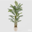 edg enzo de gasperi edg enzo de gasperi pianta artificiale palma areca vogue con vaso h270 cm pianta decorativa realistica design moderno ean 8059824655011