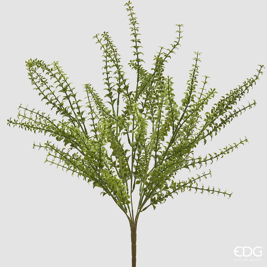 edg enzo de gasperi edg enzo de gasperi pianta artificiale ruscus cespuglio h 54 cm verde pianta decorativa realistica design moderno ean 8059824668141