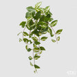 edg enzo de gasperi edg enzo de gasperi potus cespuglio h 60 cm pianta artificiale bianco verde ean 8059824487711