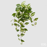 edg enzo de gasperi edg enzo de gasperi potus cespuglio h 60 cm pianta artificiale bianco verde ean 8059824487711