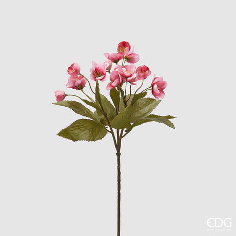 edg enzo de gasperi edg enzo de gasperi ramo elleboro h 57 cm rosa pesca ean 8059824362742