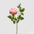 edg enzo de gasperi edg enzo de gasperi rosa gloria ramo con foglie e bocciolo h 60 cm pianta artificiale rosa crem ean 8059824491978