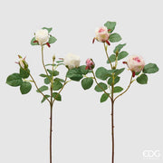 EDG Enzo De Gasperi Rosa Olga Olis Ramo Ass. H 62 Cm Pianta Artificiale Bianco Rosa 1 Pz