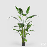 edg enzo de gasperi edg enzo de gasperi strelizia con vaso x26 pianta artificiale h 184 cm verde ean 8059824497963