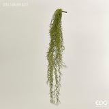 edg enzo de gasperi edg enzo de gasperi tillandsia west cadente h 75 cm pianta artificiale verde salvia ean 8056372380082