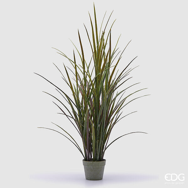 immagine-1-edg-enzo-de-gasperi-festuca-con-vaso-h-122-cm-colore-verde-ean-8059824367914