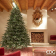 edg_enzo de gasperi albero di natale pino spark h 300 cm d 205 cm 10 000 miniled verde