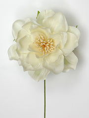Linea Due Elle Peonia Polyester D 7,5 Cm Avorio 6 Pz