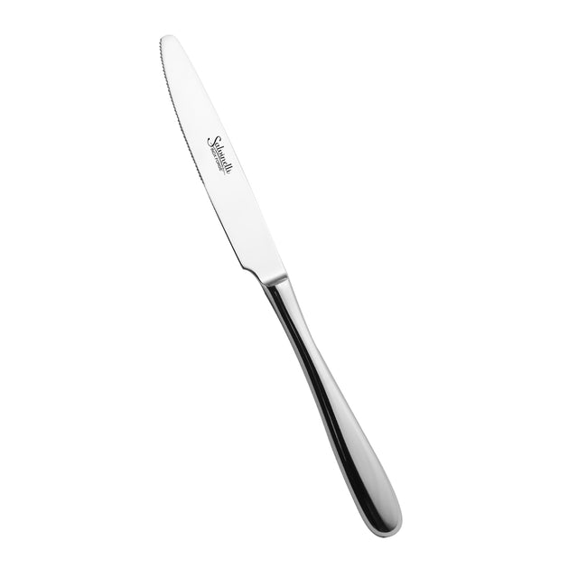 immagine-1-salvinelli-coltello-tavola-forgiato-modello-gran-hotel-230-mm-acciaio-12-pz-ean-8008644011941