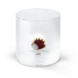 wd lifestyle wd lifestyle bicchiere vetro borosilicato cc 250 ml decoro riccio ean 8055035681528