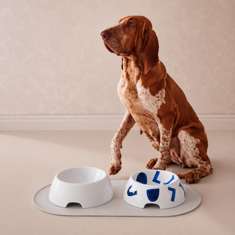 alessi alessi ciotola cibo cani in porcellana bianca samiro yunoki large d 25 cm ean 8003299503513