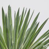 edg enzo de gasperi edg enzo de gasperi agave con vaso pianta artificiale h 45 cm verde ean 8059824518279