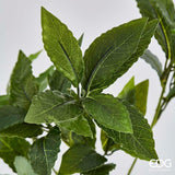 edg enzo de gasperi edg enzo de gasperi alloro chic ramo h 70 cm pianta artificiale verde ean 8056372535239