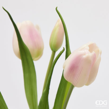 edg enzo de gasperi edg enzo de gasperi bouquete tulipano chiuso x4 h 40 cm con bocciolo bianco rosa ean 8059824612922