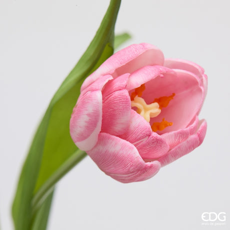 edg enzo de gasperi edg enzo de gasperi bouquete tulipano chiuso x4 h 40 cm con bocciolo rosa scuro ean 8059824612809