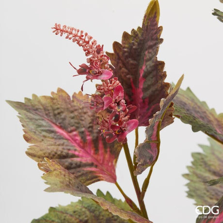 edg enzo de gasperi edg enzo de gasperi coleus ramo con bocciolo h 85 cm ass verde rosa 1 pz ean 8059824580122