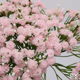 edg enzo de gasperi edg enzo de gasperi gypsophila bouquet x7 ass pianta artificiale h 34 cm d 18 cm multicolor 1 pz ean 8059824634245