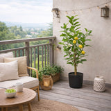 edg enzo de gasperi edg enzo de gasperi limone vogue x4 con vaso pianta artificiale h 97 cm verde giallo ean 8059824607454