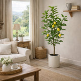 edg enzo de gasperi edg enzo de gasperi limone vogue x5 con vaso pianta artificiale h 160 cm verde giallo ean 8059824607416