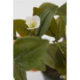 edg enzo de gasperi edg enzo de gasperi mandarini con vaso e foglie x6 pianta artificiale h 60 cm arancione ean 8059824634801