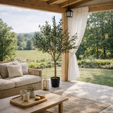 edg enzo de gasperi edg enzo de gasperi olivo con vaso h 157 cm pianta artificiale anti uv verde ean 8059824607614