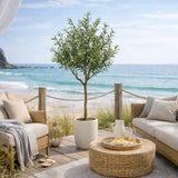 edg enzo de gasperi edg enzo de gasperi olivo con vaso h 210 cm pianta artificiale verde ean 8059824607508