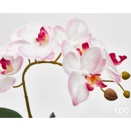 edg enzo de gasperi edg enzo de gasperi orchidea phalaenopsis con foglie e vaso h 47 cm pianta artificiale bianco rosa chiaro ean 8059824513694
