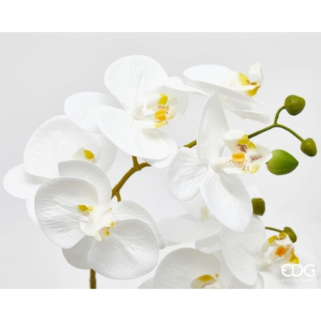 edg enzo de gasperi edg enzo de gasperi orchidea phalaenopsis con vaso e foglie h 50 cm pianta artificiale bianco ean 8059824513595