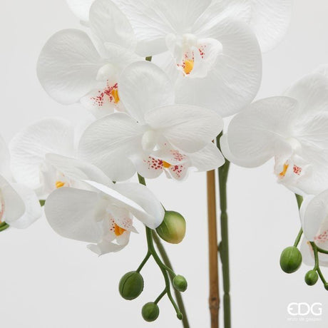 edg enzo de gasperi edg enzo de gasperi orchidea phalaenopsis x3 con foglie e vaso h 56 cm pianta artificiale bianco ean 8059824513793