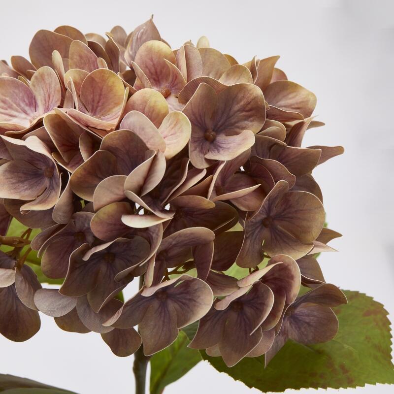 edg enzo de gasperi edg enzo de gasperi ortensia real touch con foglie ass h 60 cm rosa in due tonalita 1 pz ean 8059824379955