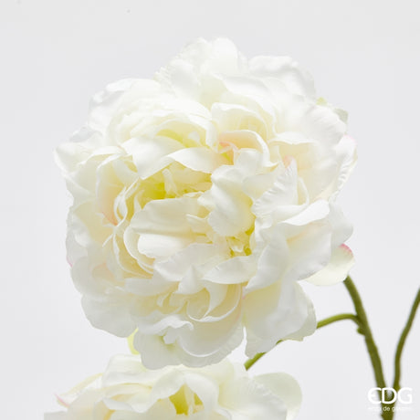 edg enzo de gasperi edg enzo de gasperi peonia ramo x3 con h 67 cm pianta artificiale colore avorio ean 8059824608505