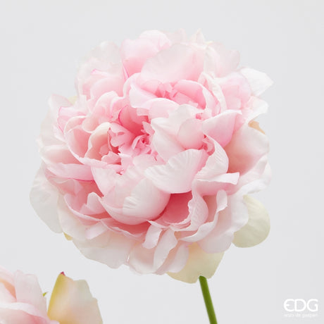 edg enzo de gasperi edg enzo de gasperi peonia ramo x3 con h 67 cm pianta artificiale colore rosa ean 8059824608543