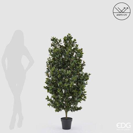 edg enzo de gasperi edg enzo de gasperi pianta artificiale agrifoglio h 157 cm con vaso anti uv verde per interno ed esterno ean 8059824655356