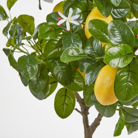 edg enzo de gasperi edg enzo de gasperi pianta artificiale di limoni duke con vaso pvc h 102 cm giallo verde ean 8056372982972