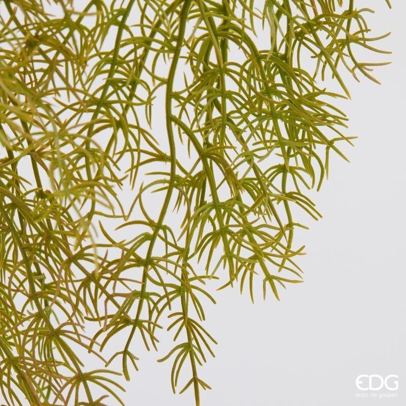 edg enzo de gasperi edg enzo de gasperi pianta artificiale erba palustre cadente h 106 cm olive pianta decorativa realistica design moderno ean 8059824667922