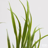 edg enzo de gasperi edg enzo de gasperi pianta artificiale festuca cespuglio h 53 cm verde pianta decorativa realistica design moderno ean 8059824668288