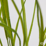 edg enzo de gasperi edg enzo de gasperi pianta artificiale festuca cespuglio h 70 cm verde pianta decorativa realistica design moderno ean 8059824668189