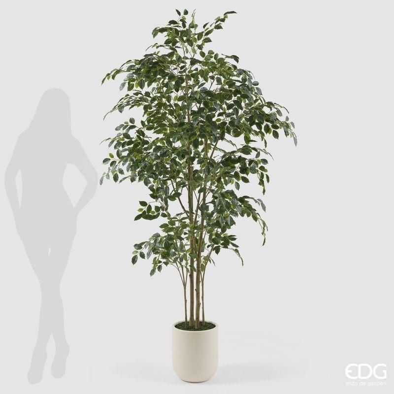 edg enzo de gasperi edg enzo de gasperi pianta artificiale ficus beniamino vogue con vaso h210 cm pianta decorativa realistica design moderno ean 8059824655059