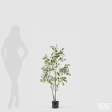 edg enzo de gasperi edg enzo de gasperi pianta artificiale ficus vogue con vaso h120 cm pianta decorativa realistica design moderno ean 8059824655226