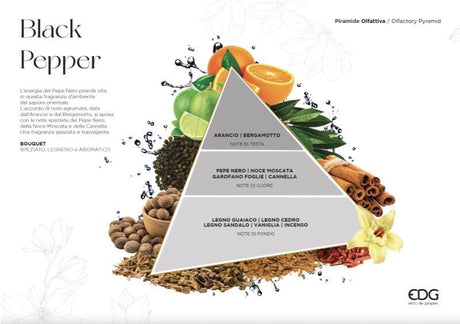 edg enzo de gasperi edg enzo de gasperi profumatore bottiglia quadrata 2 200 ml h 27 cm black pepper scatola regalo ean 8056372548208