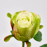 edg enzo de gasperi edg enzo de gasperi rosa bocciolo olis 3 fg ramo ass h 51 cm pianta artificiale verde chiaro 1 pz ean 8059824005380