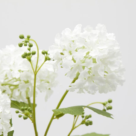 edg enzo de gasperi edg enzo de gasperi viburno ramo x5 con foglie pianta artificiale h 80 cm d 10 cm bianco ean 8059824474537