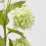 edg enzo de gasperi edg enzo de gasperi viburno ramo x5 con foglie pianta artificiale h 80 cm d 10 cm verde chiaro ean 8059824474575