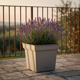 immagine-1-teraplast-fioriera-still-38-h-34-cm-fog-grey-resina-ean-8051560027831