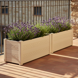 Terrazza mediterranea